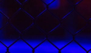 Betting on Fight Nights: Enhancing the Viewing Experience